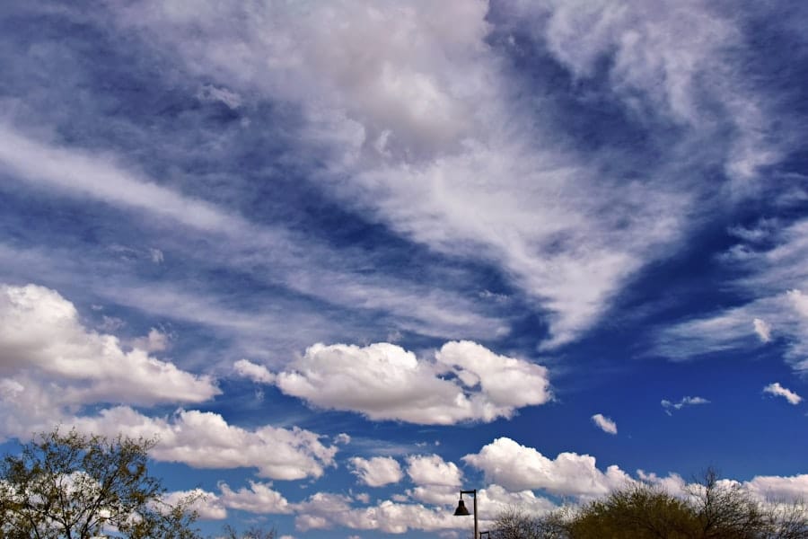 chandler, AZ
